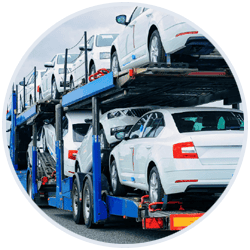 4WDs, Utes & Vans Buyers